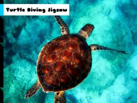 https://game.maysoft.net//game/turtle-diving-jigsaw
