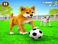 https://game.maysoft.net//game/my-virtual-dog-care