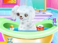 https://game.maysoft.net//game/my-new-poodle-friend-pet-care-game