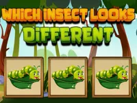 https://game.maysoft.net//game/which-insect-looks-different