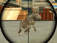 https://game.maysoft.net//game/rabbit-shooter