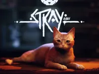 https://game.maysoft.net//game/stray